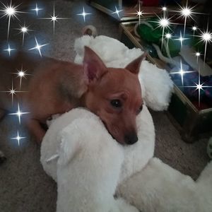 Meet your Posher, Lawrence